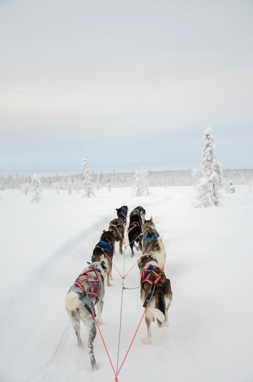 Abisko Mountain Lodge Экстерьер фото